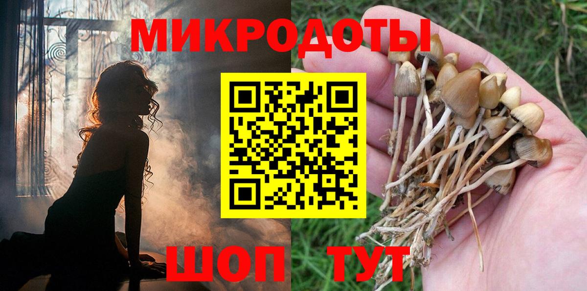 Галлюциногенные грибы Psilocybine cubensis  Вход с VPN  где продают наркотики  Елец 