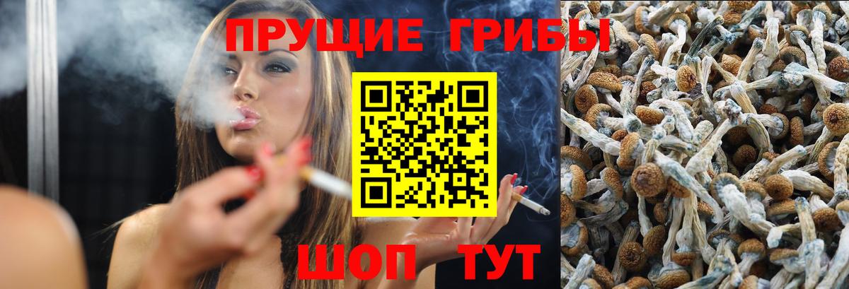 Галлюциногенные грибы GOLDEN TEACHER Елец